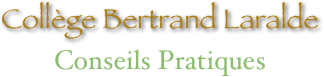 Collège Bertrand Laralde
Conseils Pratiques