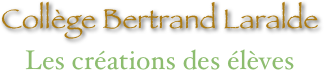 Collège Bertrand Laralde
Les créations des élèves 